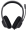 Headphones Trust Ayda Max USB-Environmental noise cancelling Mic (25462)