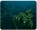 Razer Goliathus Mobile Blue (RZ02-01820200-R3M1)