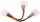 Kabelis Gembird 4pin molex * 2 4pin molex power (CC-PSU-1)