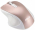 Asus MW202 Silent Rose Gold (90XB066N-BMU010)