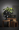 Mesko MS 7308 Black (MS 7308)