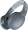 Skullcandy Crusher Evo Gray (S6EVW-N744)