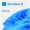 Microsoft Windows 11 Home ENG OEM (KW9-00632)