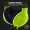 Razer Kaira X for Xbox - Electric Volt (RZ04-03970600-R3M1)