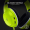 Razer Kaira X for Xbox - Electric Volt (RZ04-03970600-R3M1)