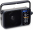 Panasonic Portable radio RF-2400D Black (RF-2400DEG-K)