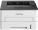 Pantum P3010DW (P3010DW)