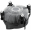 Arctic Alpine 17 (ACALP00040A)