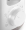 Philips Daily Collection HD2590/ 00 (HD2590/00)