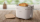 Tosteris Philips HD2640/ 10 (HD2640/10)